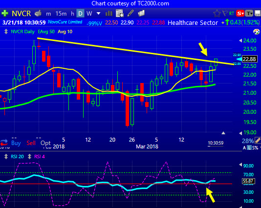 Daily Chart of NovoCure &##x28;NVCR&##x29;